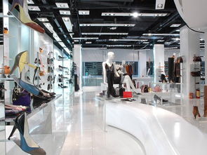 2000㎡其他其他裝修案例 效果圖