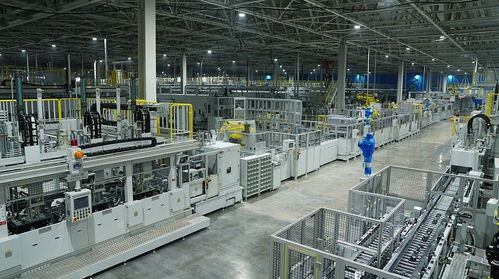 吐槽湃 全村的希望