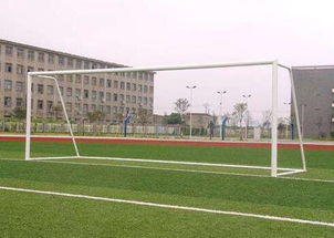 【標(biāo)準(zhǔn)足球門尺寸】-